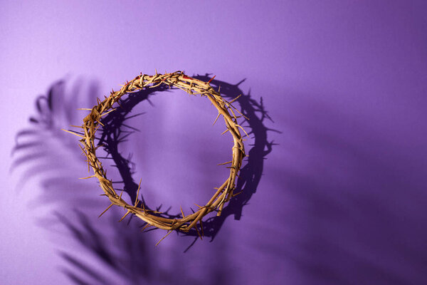 Lent season, Holy week and Good friday concept. Crown of torns on purple background