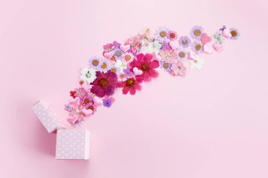 Pembe arka planda uçan koloful çiçekleriyle birlikte hediye kutusu. Düz yatıyordu. Üst görünüm