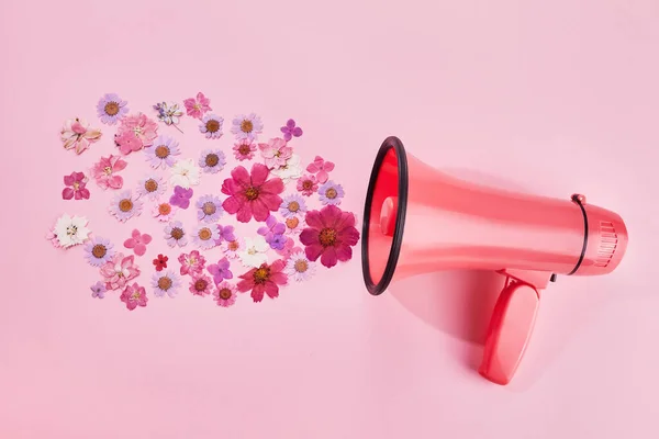 गुलाबी पृष्ठभूमि पर रंगीन फूलों के साथ गुलाबी मेगाफोन। न्यूनतम प्रकृति अवधारणा . — स्टॉक फ़ोटो, इमेज