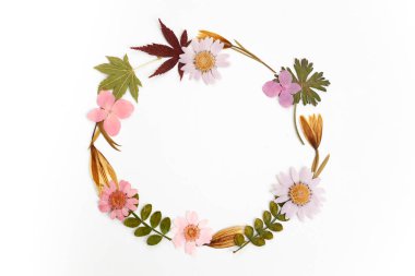 Beyaz arka planda kuru yapraklardan ve akıntılardan yapılmış çelenkler. Kuru çiçek çerçevesi. Düz yatıyordu.