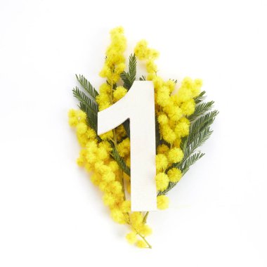 Mimoza desenli ve bir numara. Düz yatıyordu. Üst görünüm