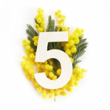 Mimoza desenli ve beş numaralı bina. Düz yatıyordu. Üst görünüm