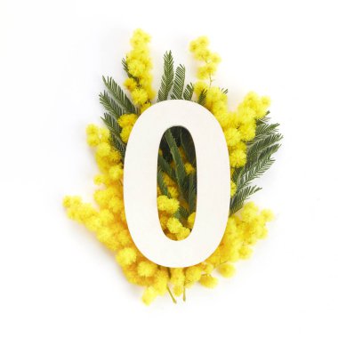 Mimoza folklorlu ve sıfır numaralı düzen. Düz yatıyordu. Üst görünüm