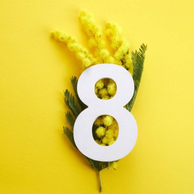 8 Mart 'taki Uluslararası Kadınlar Günü için Selamlama Günü. Mimoza dalları ve sekiz numara..
