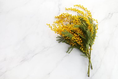 Bir buket sarı mimoza çiçeği mermer arka planda. Kadınlar ya da anneler günü kavramı.