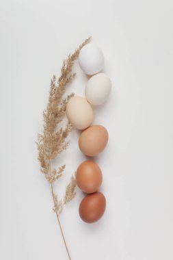 Beyaz arkaplan üzerine eğilmiş farklı kahverengi yumurtalar. Renk farkı. Sıfır atık Paskalya kavramı.