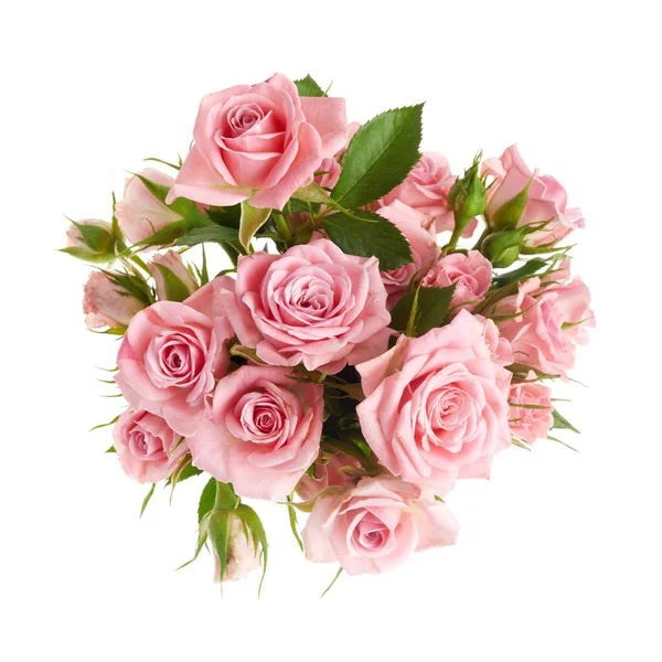 Piękny różowy róż kwiaty układ izolowane na białym tle — Zdjęcie stockowe