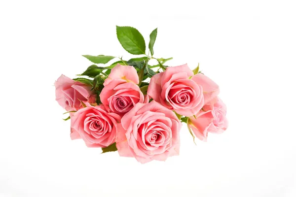 Mooie roze roos bloemen arrangement geïsoleerd op witte achtergrond — Stockfoto