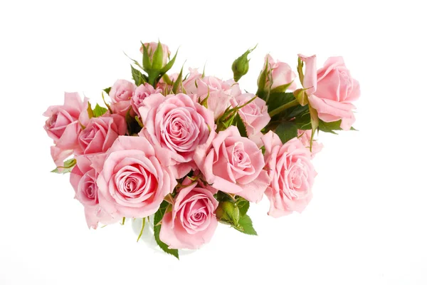 Piękny różowy róż kwiaty układ izolowane na białym tle — Zdjęcie stockowe