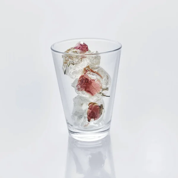Vaso de agua con rosas congeladas en cubitos de hielo sobre fondo blanco — Foto de Stock