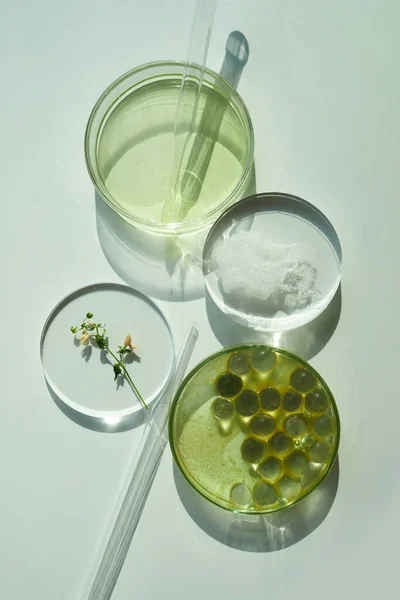 Abstract cosmetic laboratory. Chemical laboratory research. Organic cosmetics — Stock Photo, Image