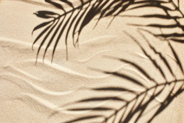 Sand texture. Sandy beach with palm shadow for product background. Top view — Stockfoto