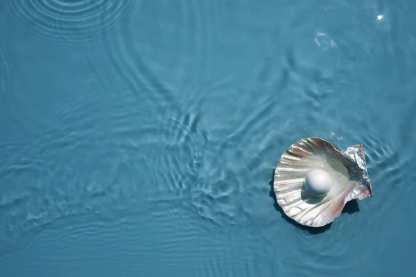 Shell with a pearl on blue water. — Stock Photo, Image