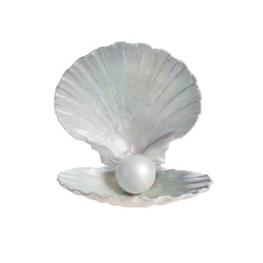 Deniz kabuğunun içindeki inci beyaz arka planda izole edilmiş.