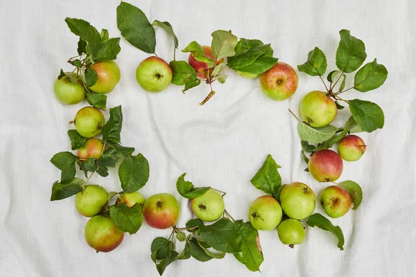 Autumn background of small apple and leaves on biege linen textile background. Empty space for text. Top view. — Stock Photo, Image