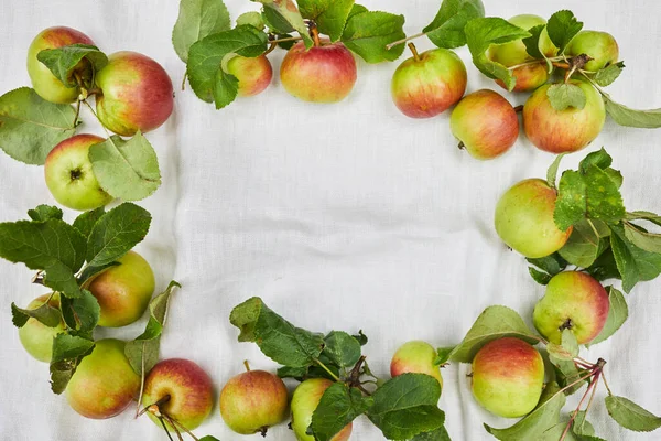 Autumn background of small apple and leaves on biege linen textile background. Empty space for text. Top view. — Stock Photo, Image