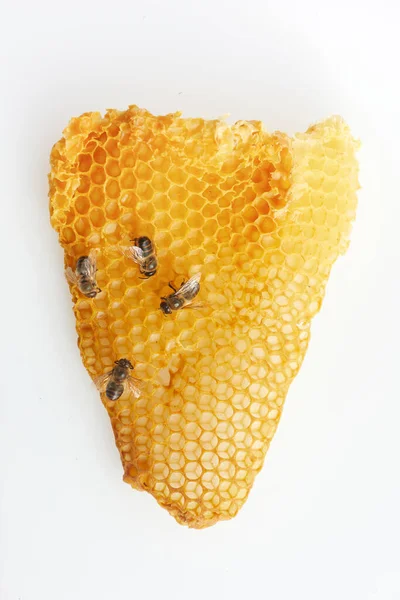 Día nacional de las abejas. Las abejas se arrastran en el panal. — Foto de Stock