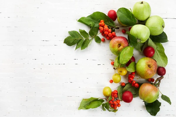 Autumn yellow, orange and red vegetables and fruits on white brick wall background, top view, flat lay. Autumn background. — Stock Photo, Image