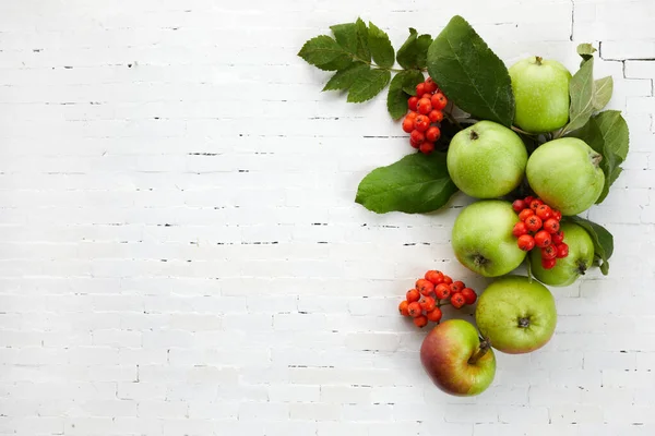 Autumn yellow, orange and red vegetables and fruits on white brick wall background, top view, flat lay. Autumn background. — Stock Photo, Image