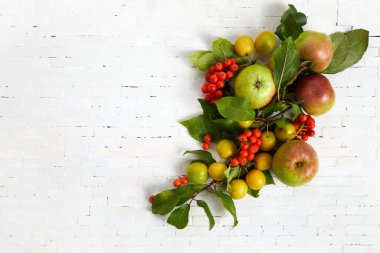 Sonbahar sarısı, turuncu ve kırmızı sebzeler ve beyaz tuğla duvar zemininde meyveler, üst manzara, düz yatış. Sonbahar arkaplanı.