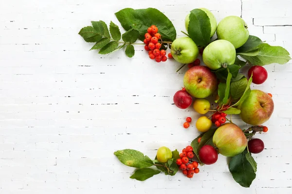 Podzimní žlutá, oranžová a červená zelenina a ovoce na pozadí bílé cihlové zdi, horní pohled, plochý ležel. Podzimní pozadí. — Stock fotografie