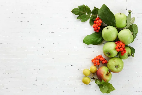Podzimní žlutá, oranžová a červená zelenina a ovoce na pozadí bílé cihlové zdi, horní pohled, plochý ležel. Podzimní pozadí. — Stock fotografie