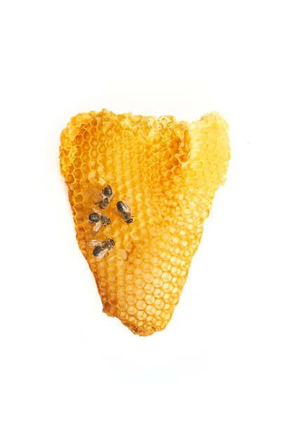 Národní den včel. Včely se plazí po plástech. — Stock fotografie