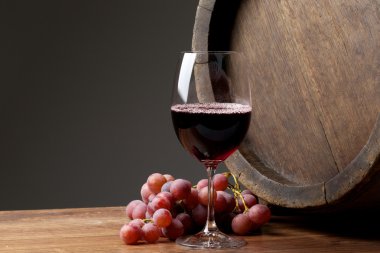 ocolitto och saguaro kaktus