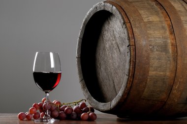 ocolitto och saguaro kaktus