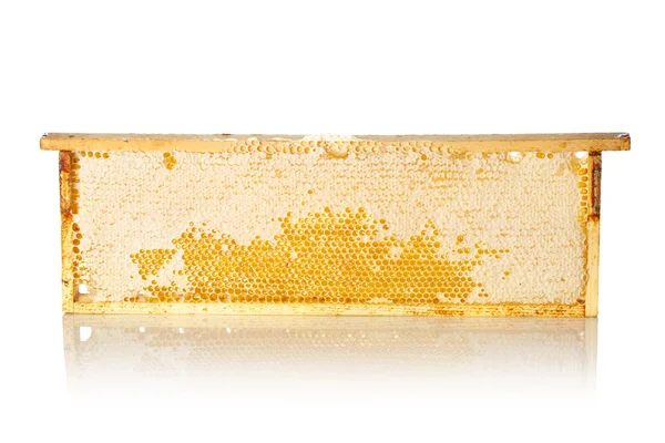 Fabricação de mel em favos de mel — Fotografia de Stock
