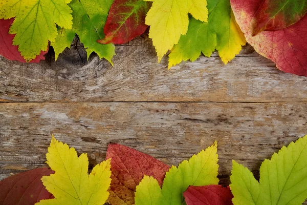 古い木製の背景に紅葉 — ストック写真