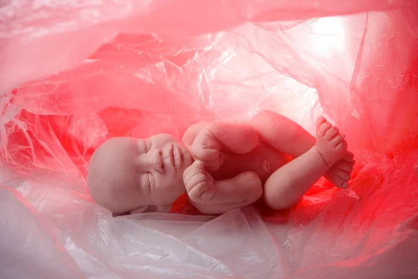 Koncepcja zarodka, aborcja — Zdjęcie stockowe