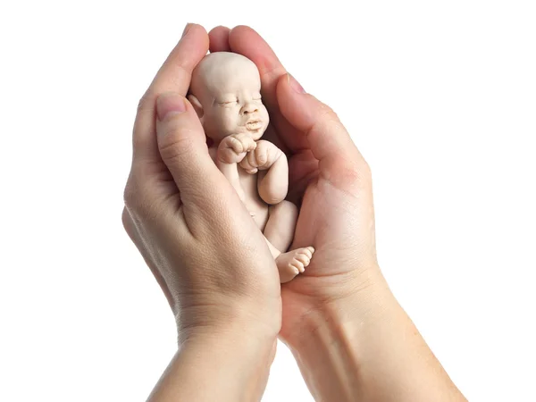 Эмбрион в руке женщины — стоковое фото
