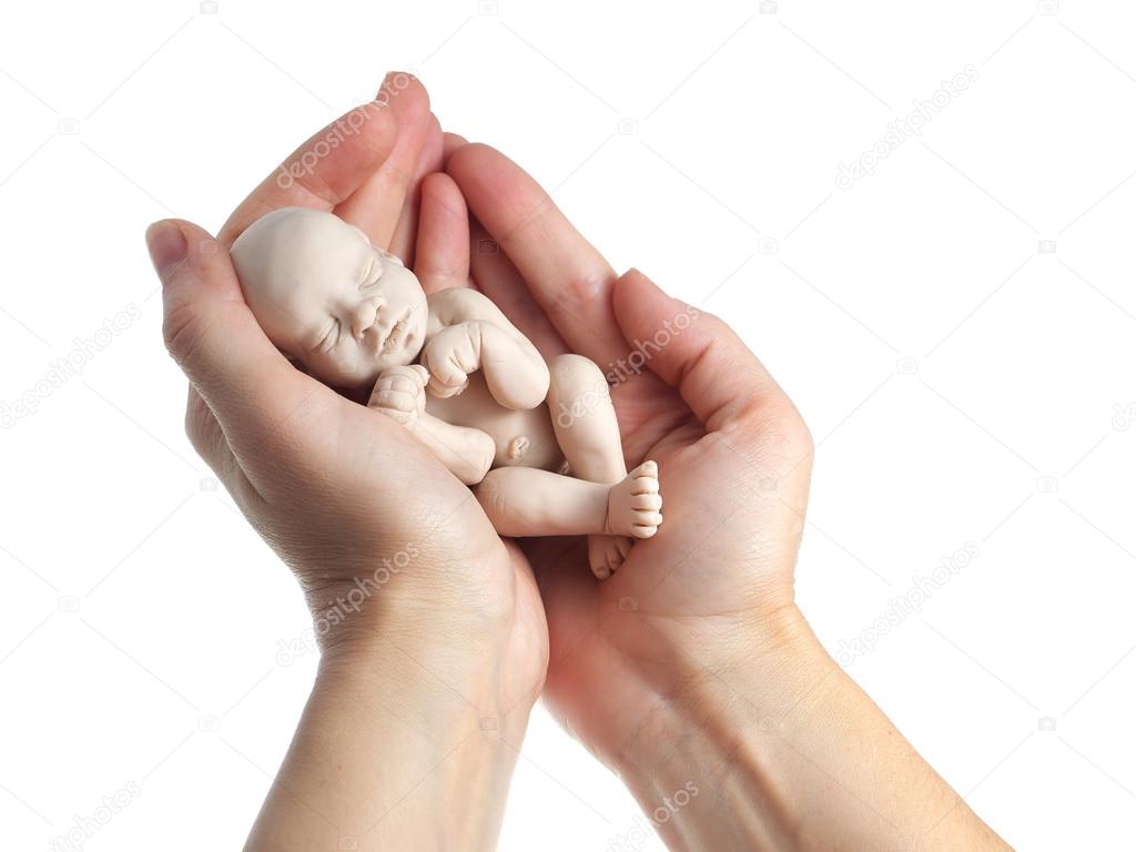 embryo in woman hand