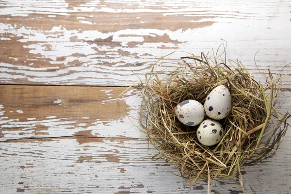 Påskpynt. Ägg i bon på trä bakgrund — Stockfoto