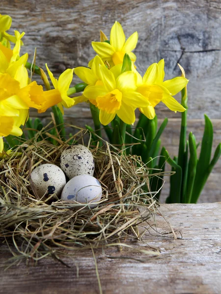Velikonoční ozdoby. Vejce v hnízdech na dřevěném pozadí — Stock fotografie