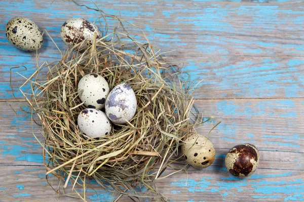 Paskalya süsleri. Yuvalardaki yumurtalar ahşap arka planda — Stok fotoğraf