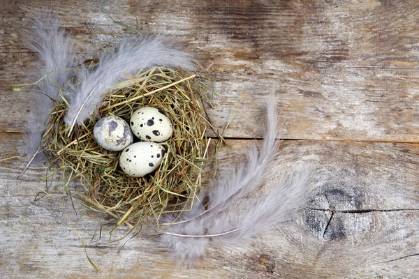 Påskpynt. Ägg i bon på trä bakgrund — Stockfoto