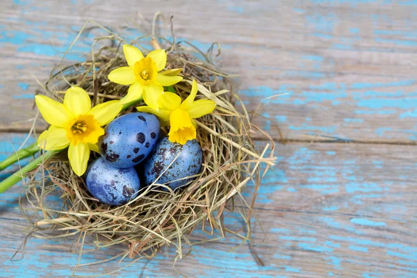 Osterdekoration. Eier in Nestern auf hölzernem Hintergrund — Stockfoto