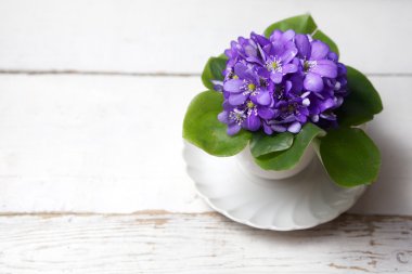 Menekşe çiçek ahşap tablo