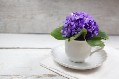 Menekşe çiçek ahşap tablo