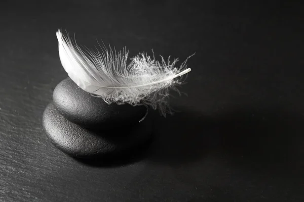 Piedra Zen con plumas en negro —  Fotos de Stock