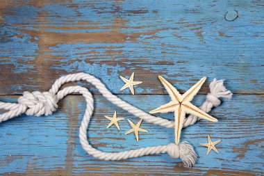  Deniz yıldızı ve deniz ip