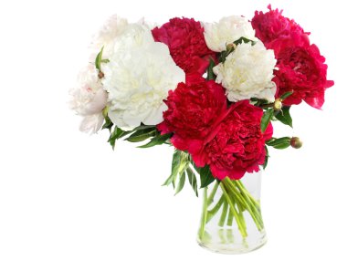 Beyaz izole üç peonies çiçek 