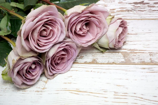 Purple roses  on wooden surface — Stock Photo, Image