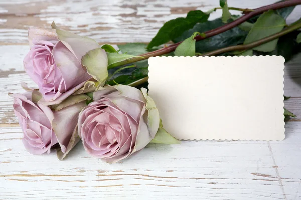 Ramo de rosas moradas y tarjeta de felicitación en blanco —  Fotos de Stock