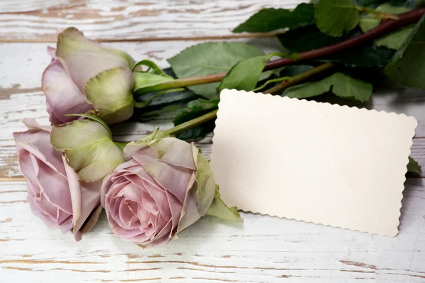 Bukiet róż fioletowy i pustą kartkę z życzeniami — Zdjęcie stockowe