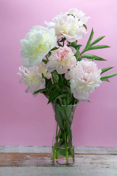 Peony bloemen op paarse achtergrond — Stockfoto