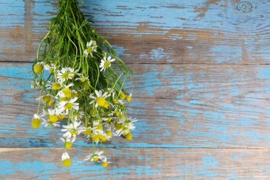 Ahşap arka planda papatya çiçekleri