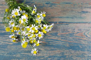 Ahşap arka planda papatya çiçekleri